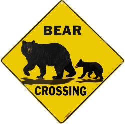 Bears