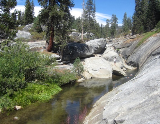 Sequoia National Park '13