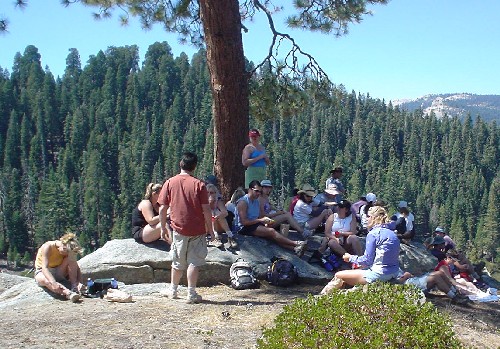 Sequoia National Park '03