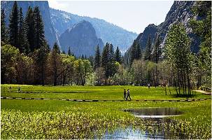 Yosemite Valley