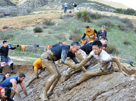 Tough Mudder '13