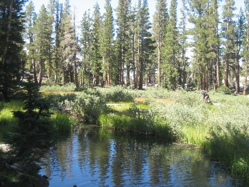 Mammoth Lakes '07